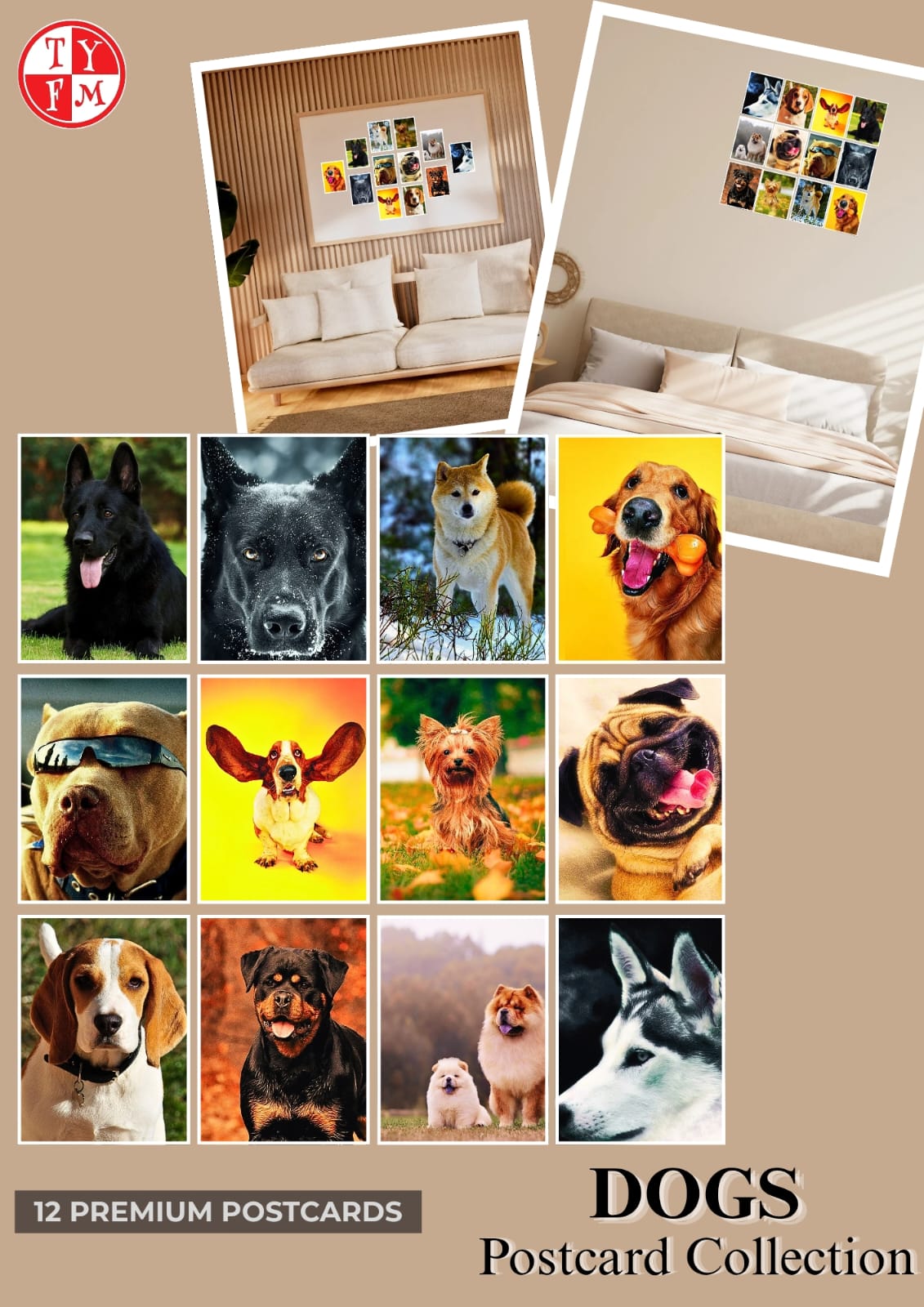 Postcard Size Photo Set – Set of 12 (6x4 inch)